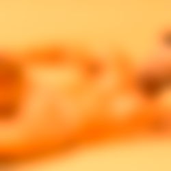 StallionFabio ๐
photo