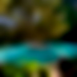 Ana Sofรญa Henao photo