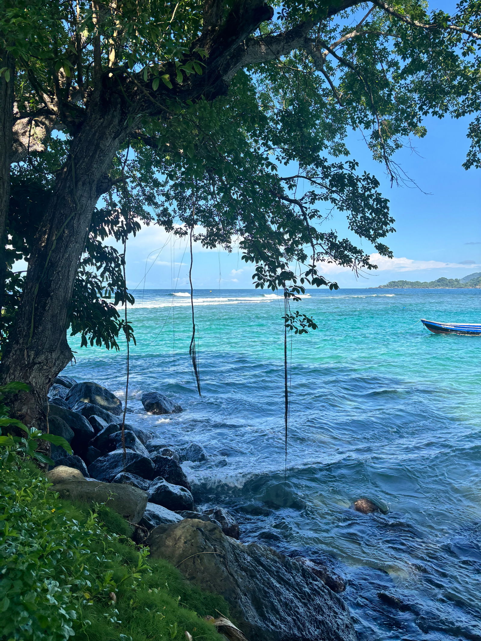 Ana Sofía Henao photo