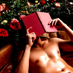 Alpaca Reading in Library