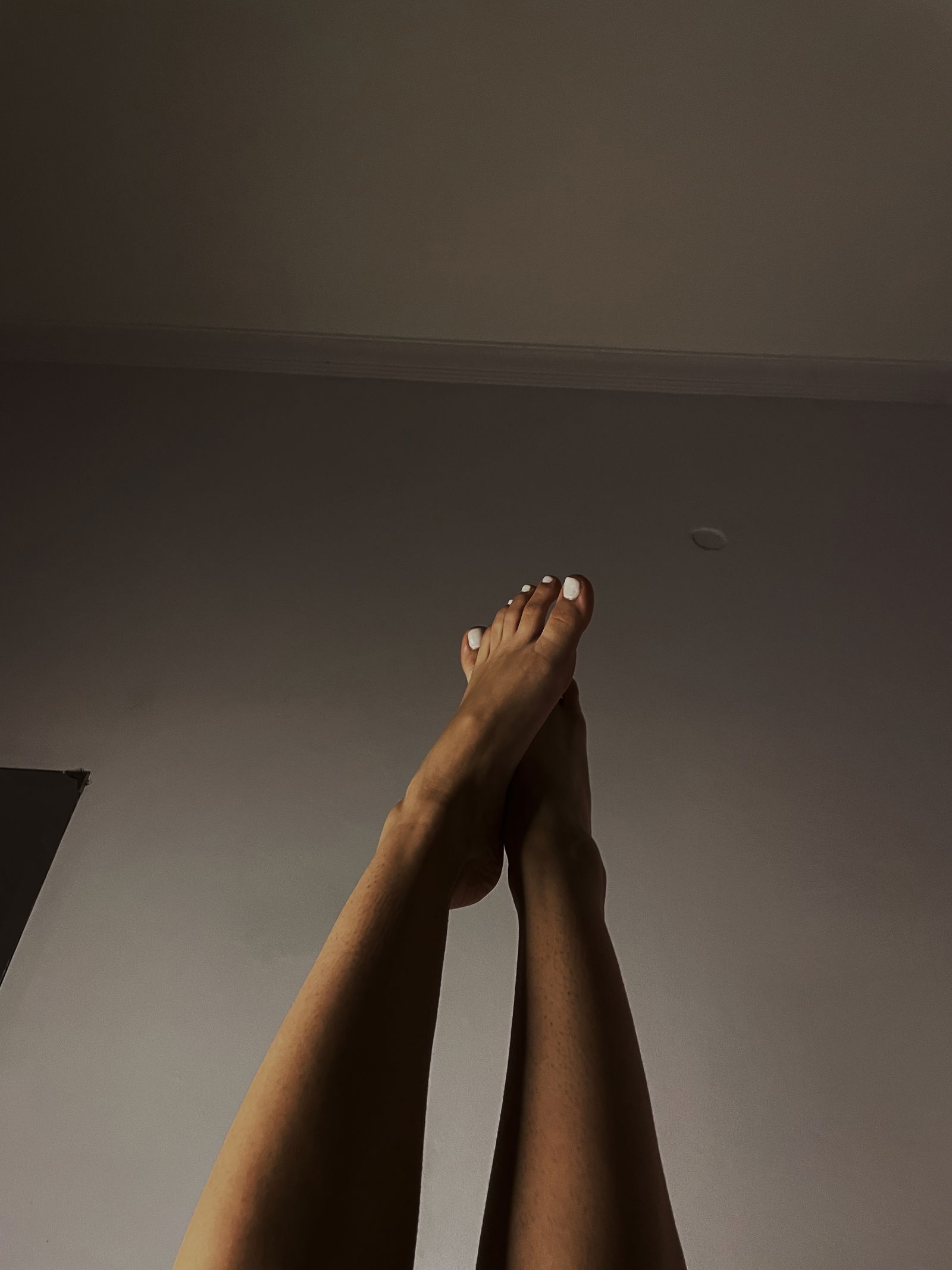 Miss Stella ✨👣 photo