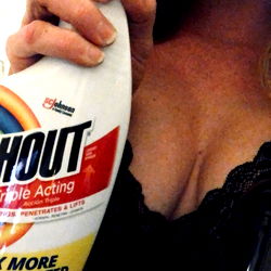 Model Crimson Cutie: Bottle of Windex