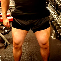 King Leo in the Gym: A Comprehensive Guide to Fitness and Muscle Building