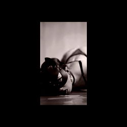 Intimate Portrait of Alma.Lucia