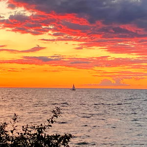 Aurora ๐ฅถ๐ photo