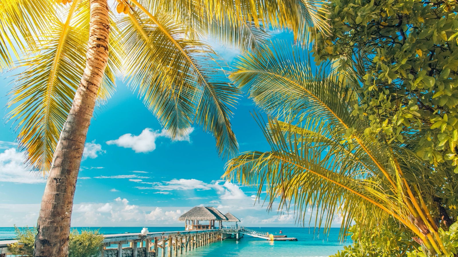 Amigos de Sashita photo