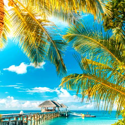 Amigos de Sashita photo