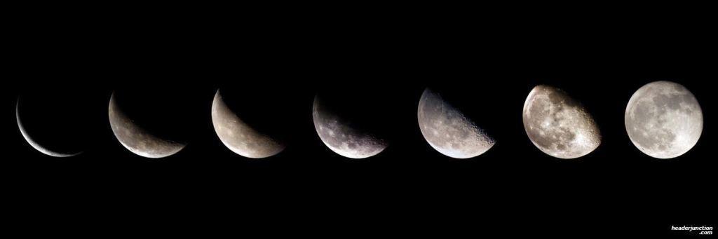 High Value Vixen 🔥 photo