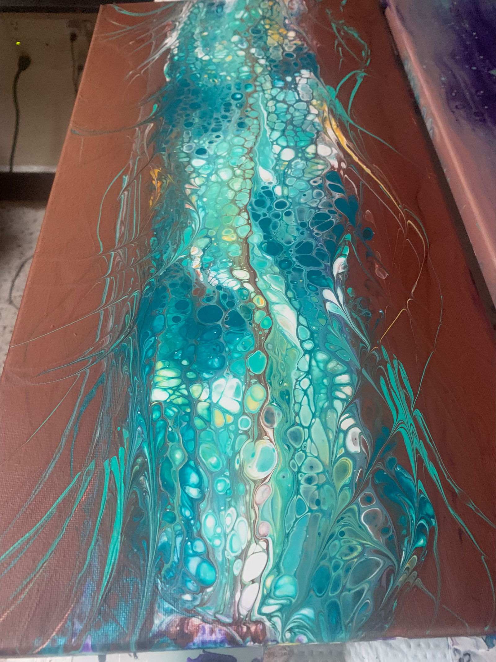 Poppa Bear Steve photo