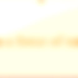 Baby Bear Steele photo