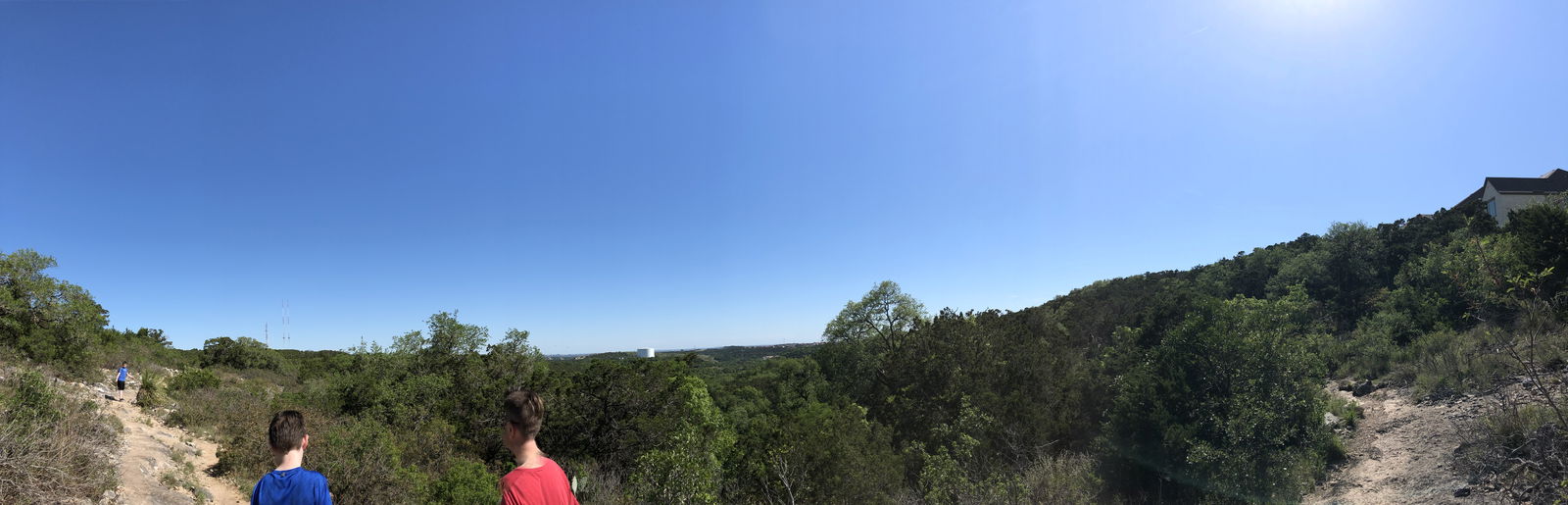 Baby Bear Steele photo