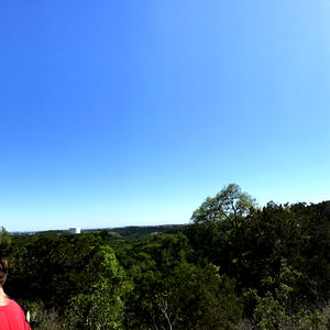 Baby Bear Steele photo