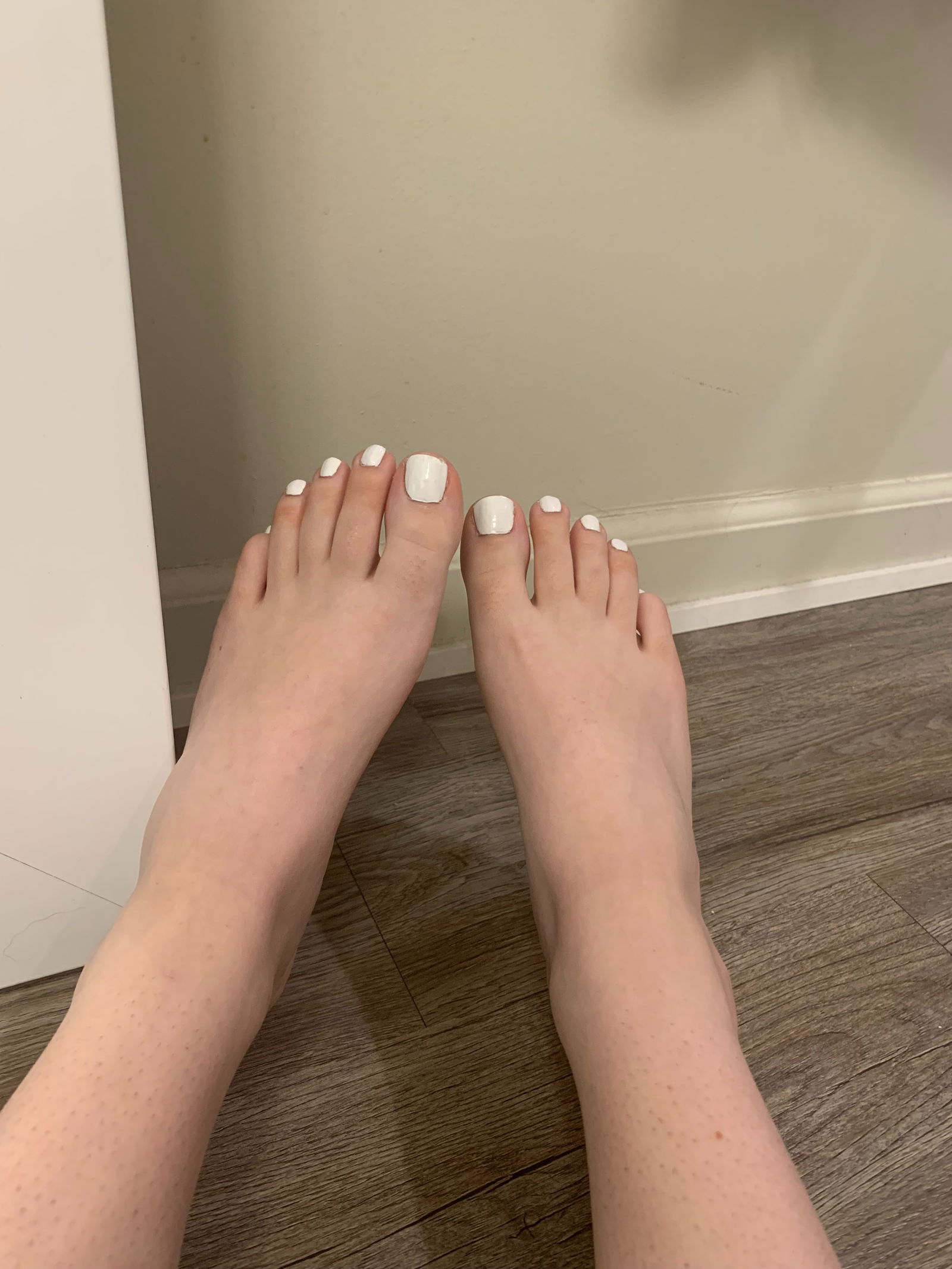 Paisley Violet photo