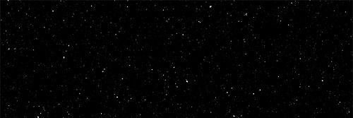 ♡︎ 𝑆𝑎𝑏𝑙𝑒 𝐵𝑙𝑎𝑘𝑒 ♡︎ photo