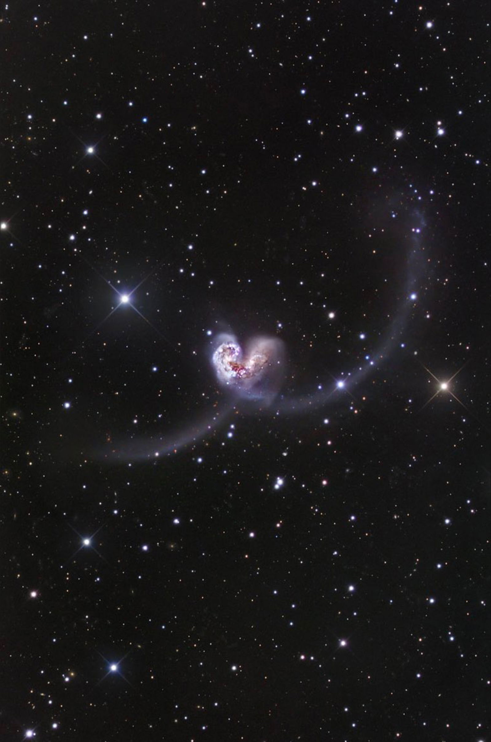 Honey蜜糖🍬｜慾望女友💦 photo