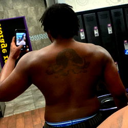 Bay Area BBC: A Fan's Perspective from the Gym