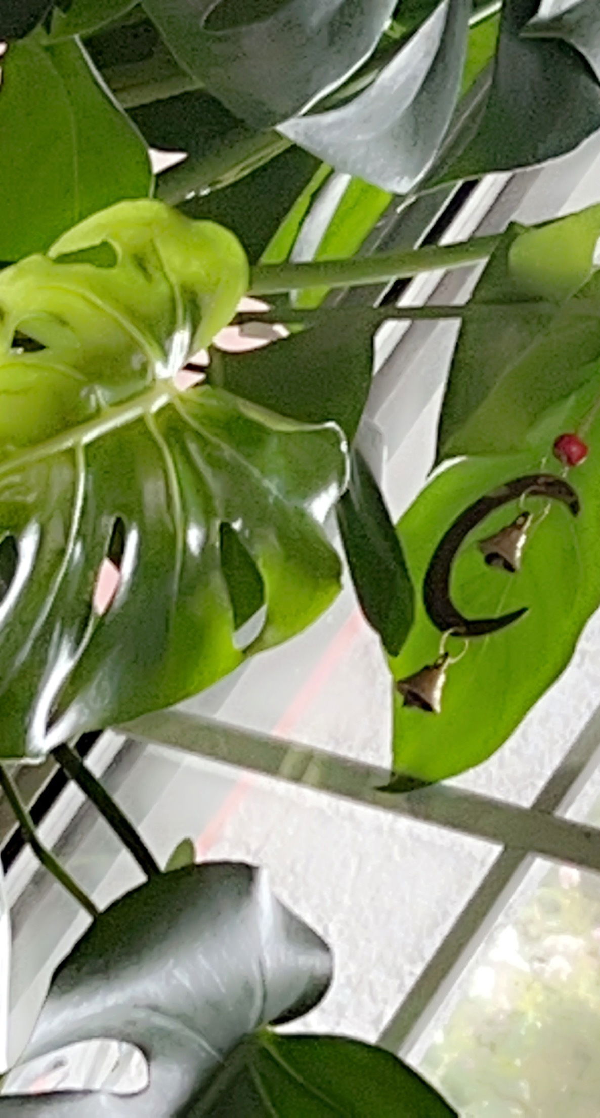 Anastasia Myst photo