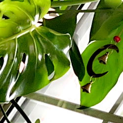 Anastasia Myst photo