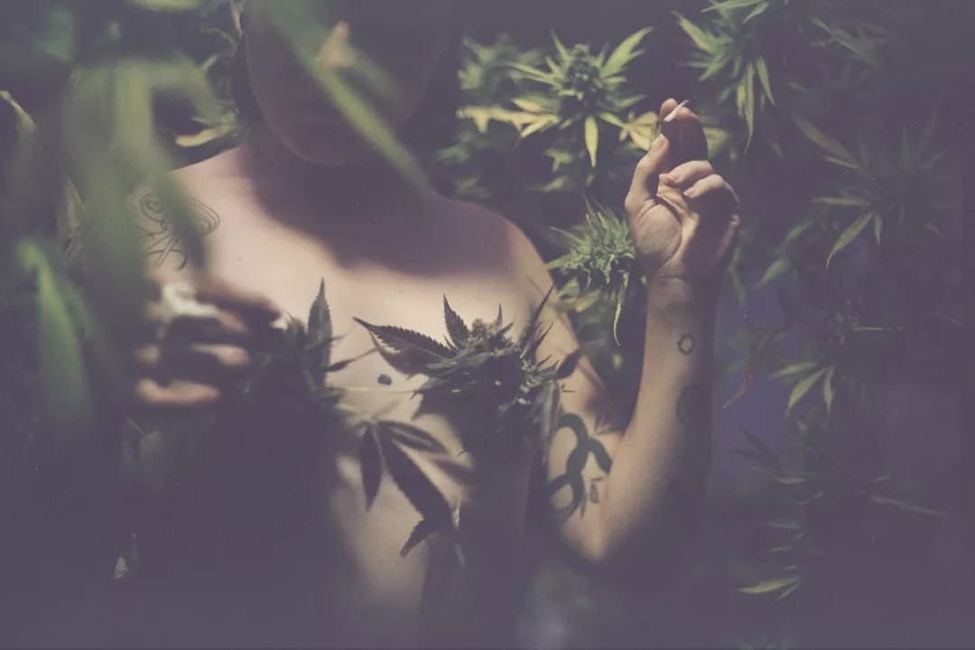 Baby high 🦋🍁 photo