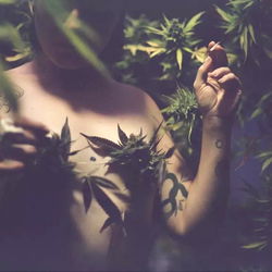 Baby high ๐ฆ๐ photo