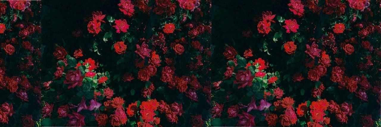 🍰 ASoleSnack - VIP photo