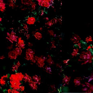 ๐ฐ ASoleSnack - VIP photo