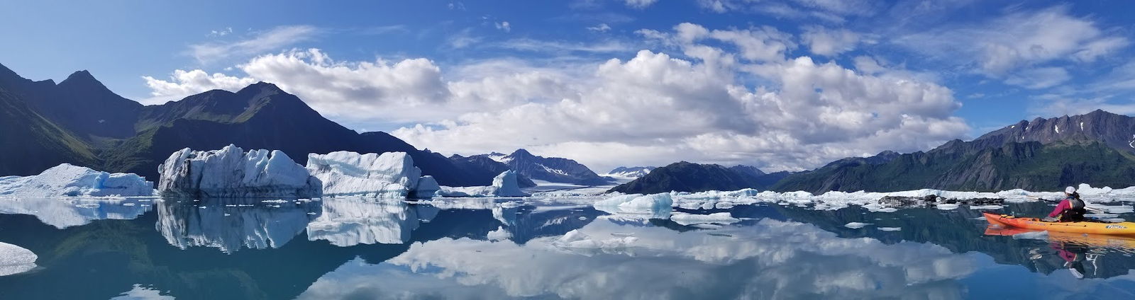 Daisy🏳️‍⚧️ photo