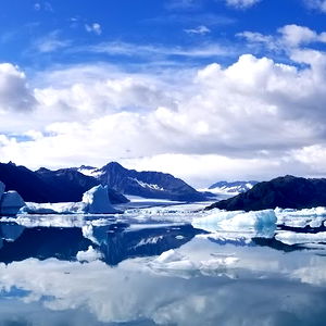 Daisy๐ณ๏ธโโง๏ธ photo