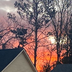 Sunset View with Shelton