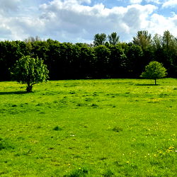 NaughtyGeordie๐ธ photo