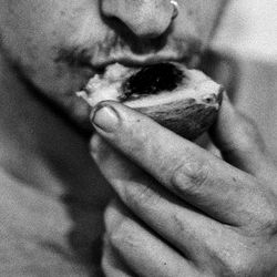 Sweetwater Model, Purgatory