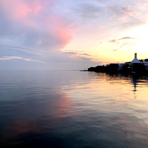 ThroatBully - NO PPV photo