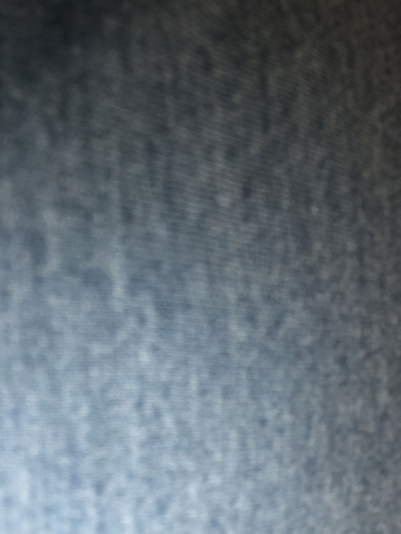 Meat Illustrated photo