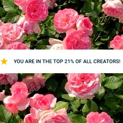 ๐๐ฎโ๏ธ๐ฉ๐ค๐ข๐ง photo