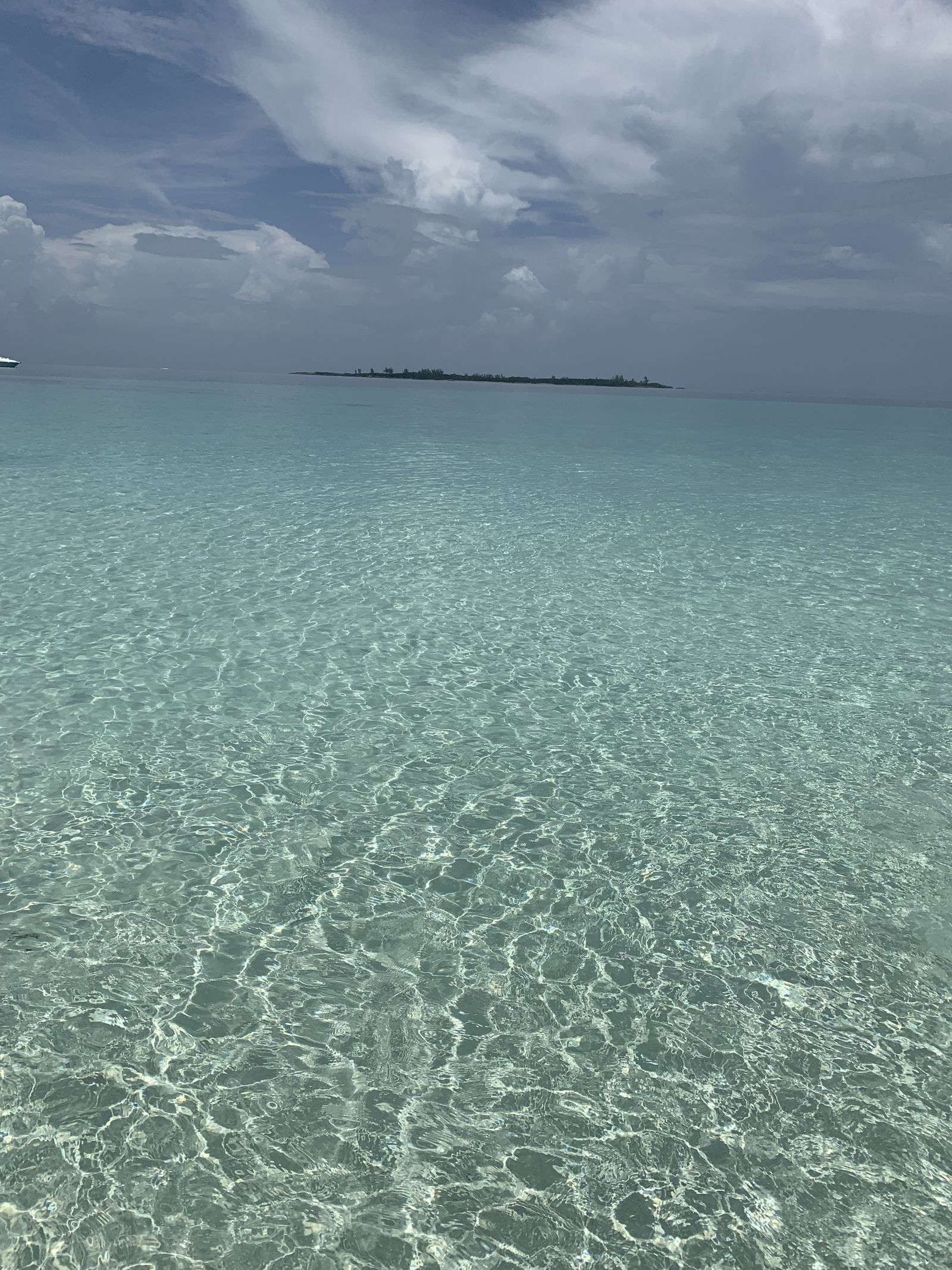 Costaricanpapii photo