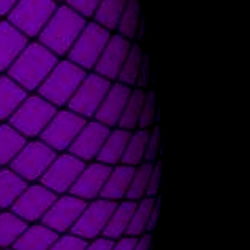 🪄 Amapola 🧿 photo