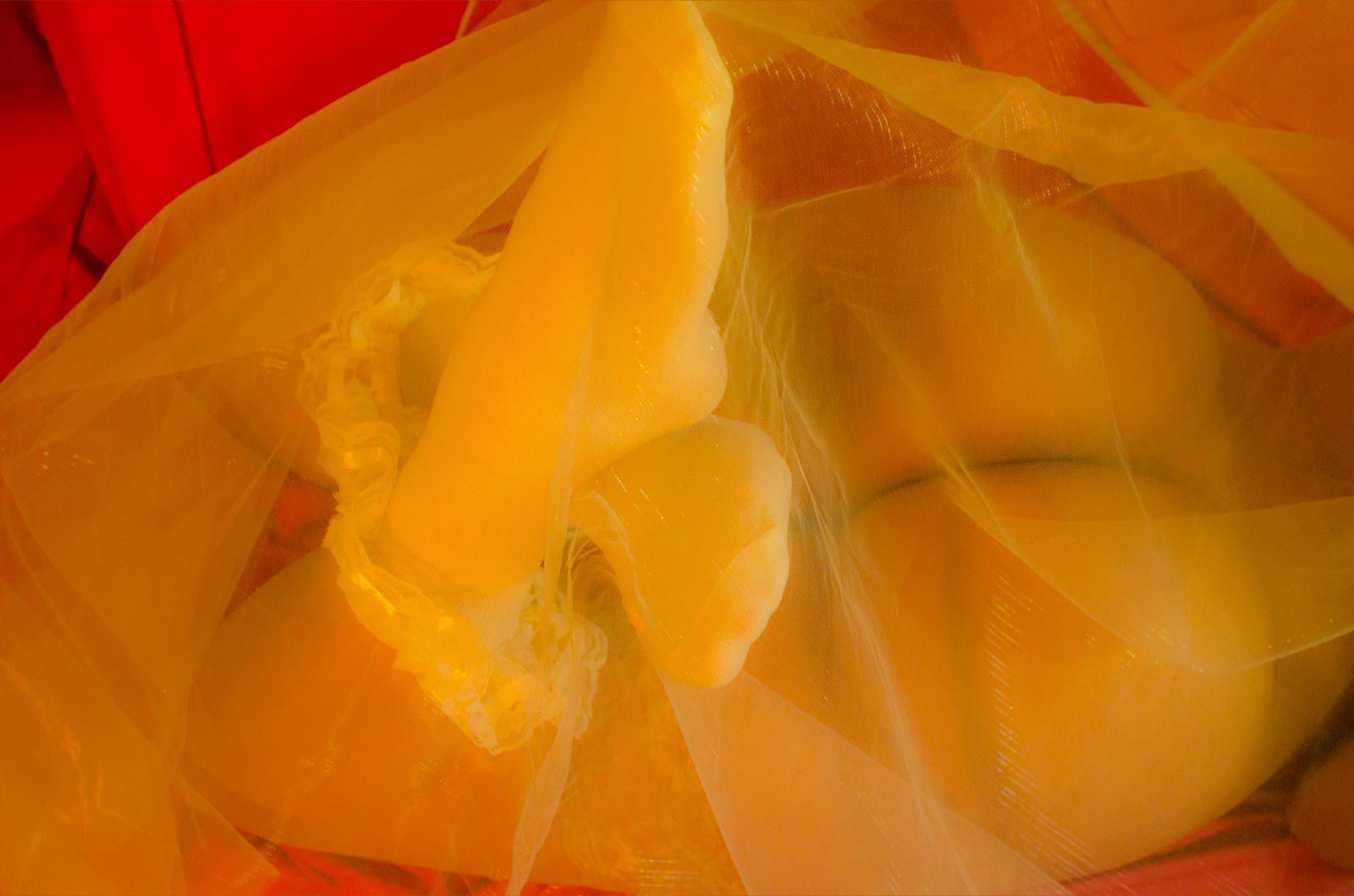 Ivy Nova's Candy Shop photo