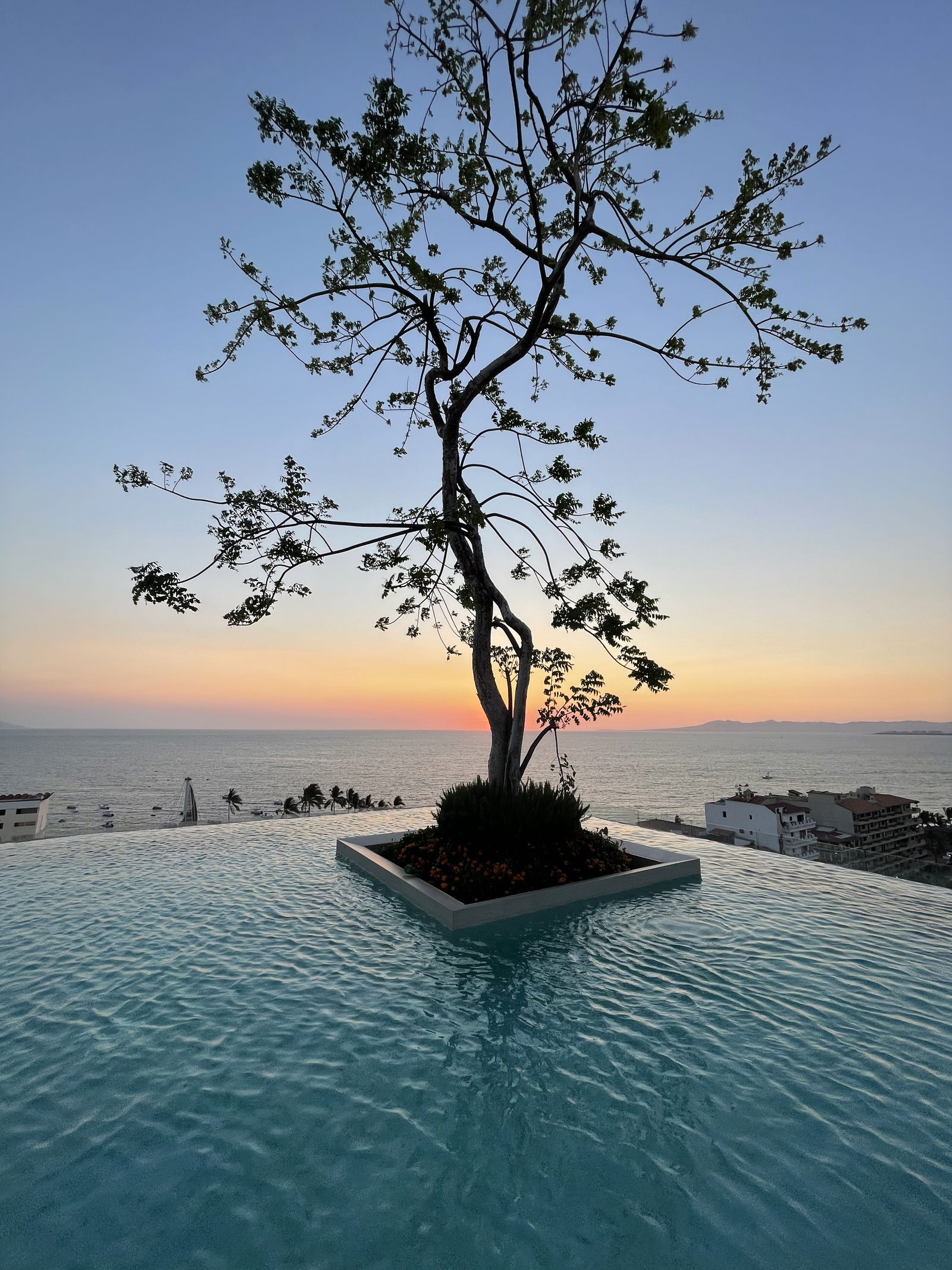 Naughty Jewish Boy photo