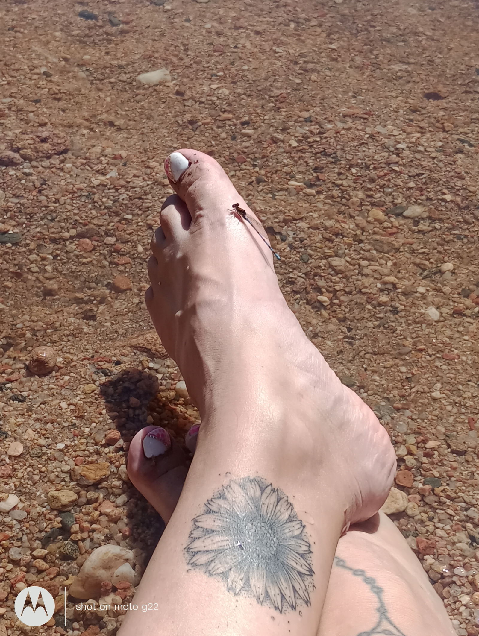 Alicce🌶️🌶️ photo