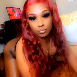 Vivid Beauty Shining Brightly