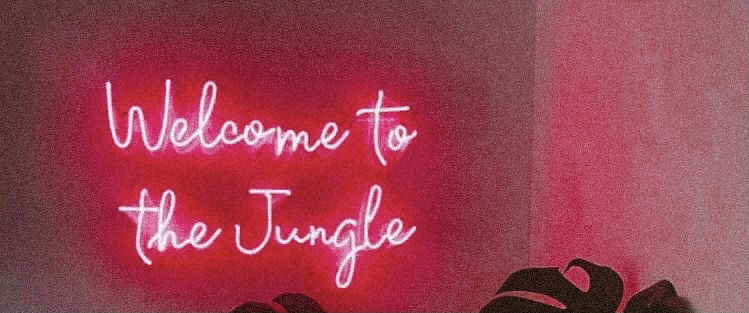 𝐀𝐛𝐢𝐠𝐚𝐢𝐥 𝐑𝐨𝐬𝐞 🌹 photo