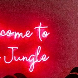 𝐀𝐛𝐢𝐠𝐚𝐢𝐥 𝐑𝐨𝐬𝐞 🌹 photo