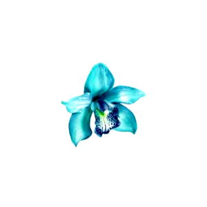 Trev๐ฅบ๐ฆ photo