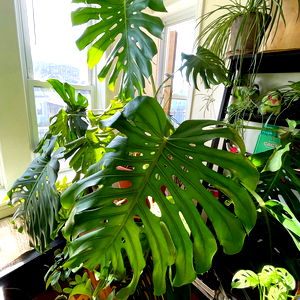 Gr๐w with Nick๐ต๐ธ photo