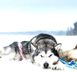 Ethan โค๏ธ photo