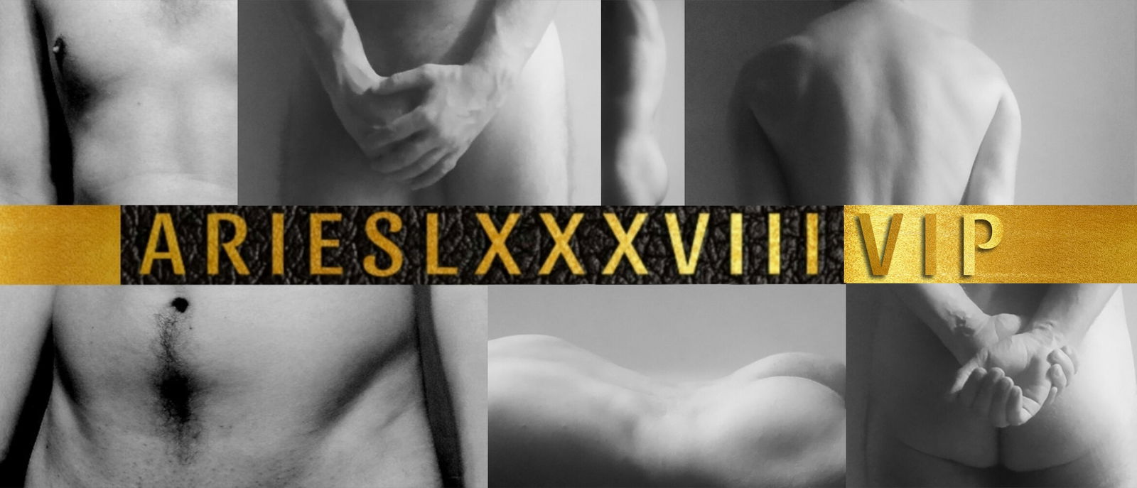 Aries LXXXVIII 🇮🇹 ⭐VIP⭐ 🔝70 photo