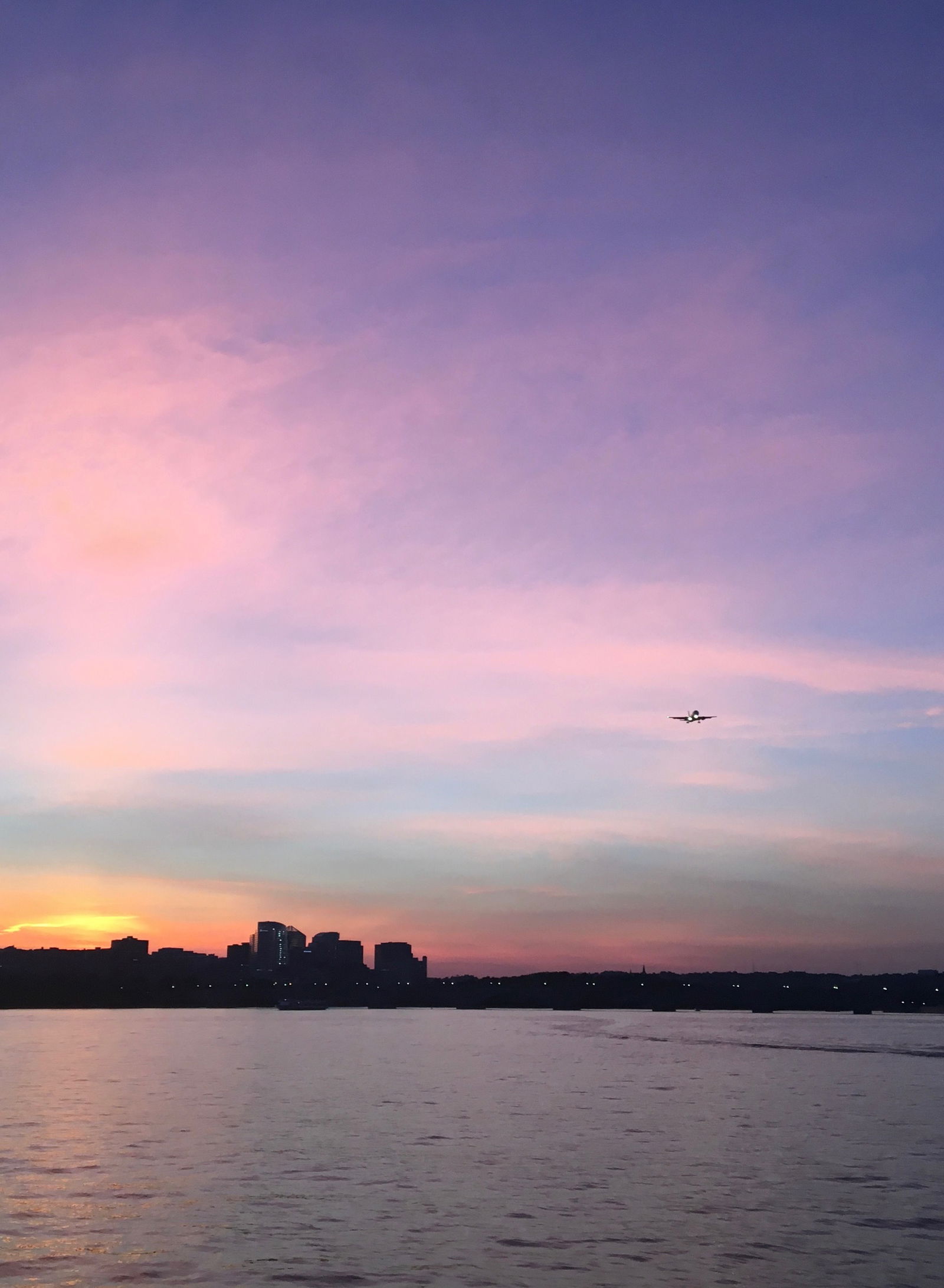 Assalicious Ginger photo