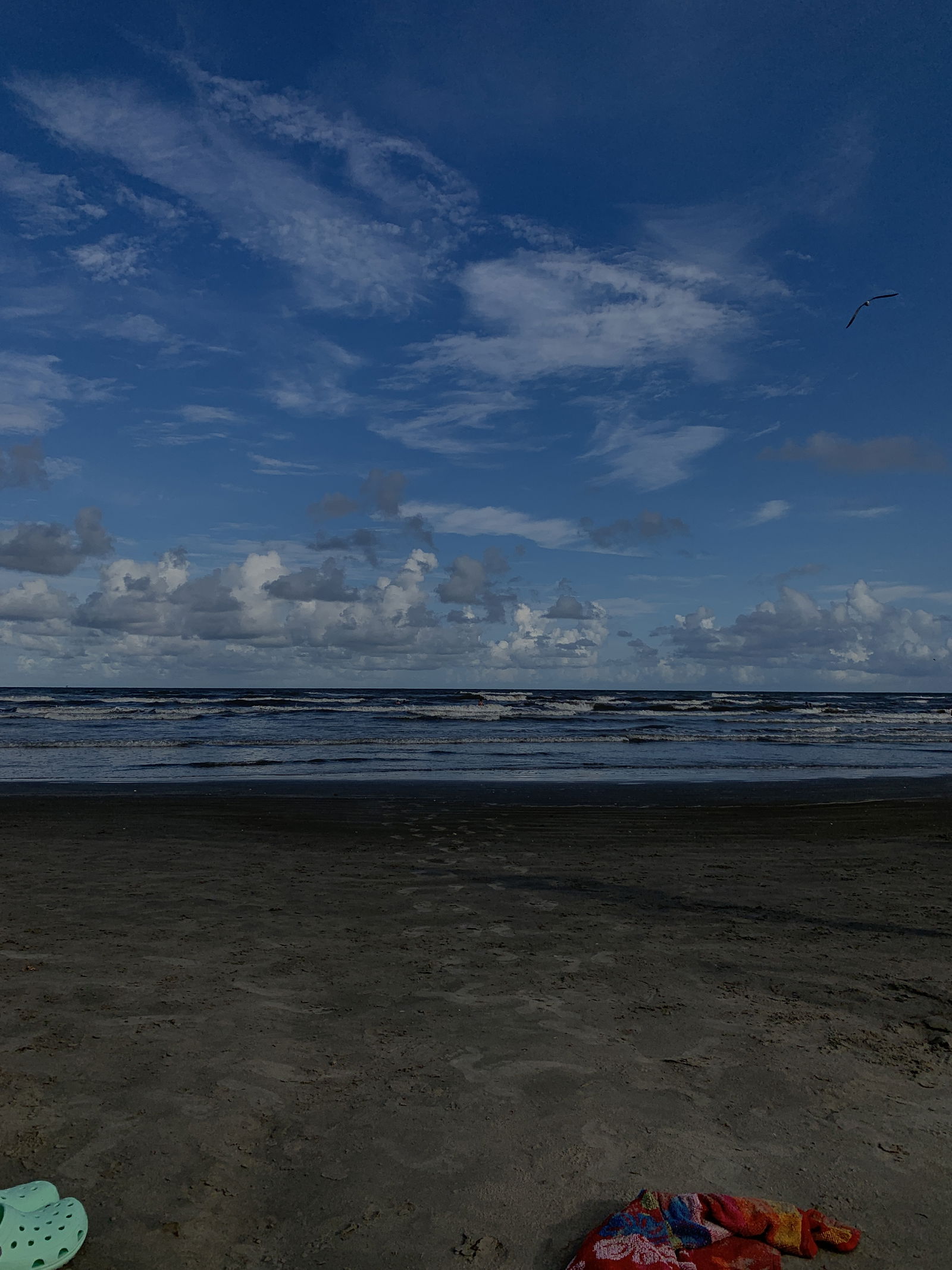 allison klukis photo