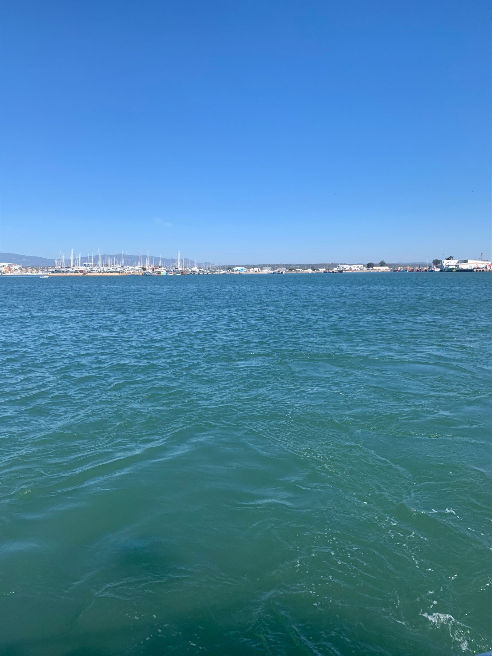 Lexi Rose FREE OF photo