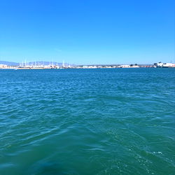 Lexi Rose FREE OF photo